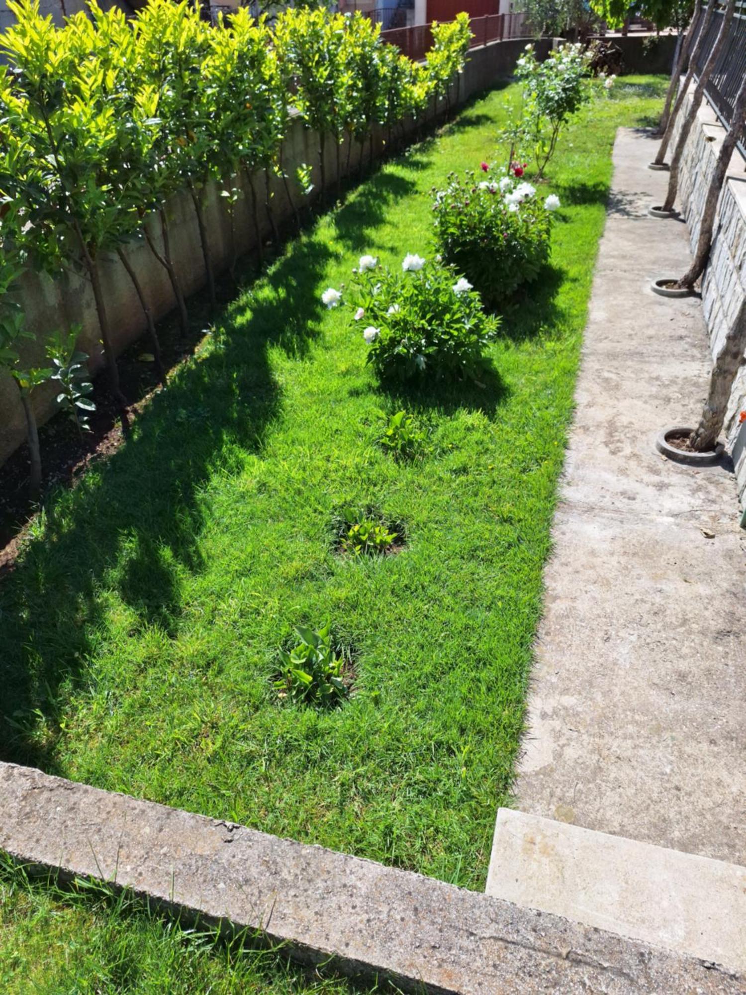 Apartment Slobo เทรบินเย ภายนอก รูปภาพ